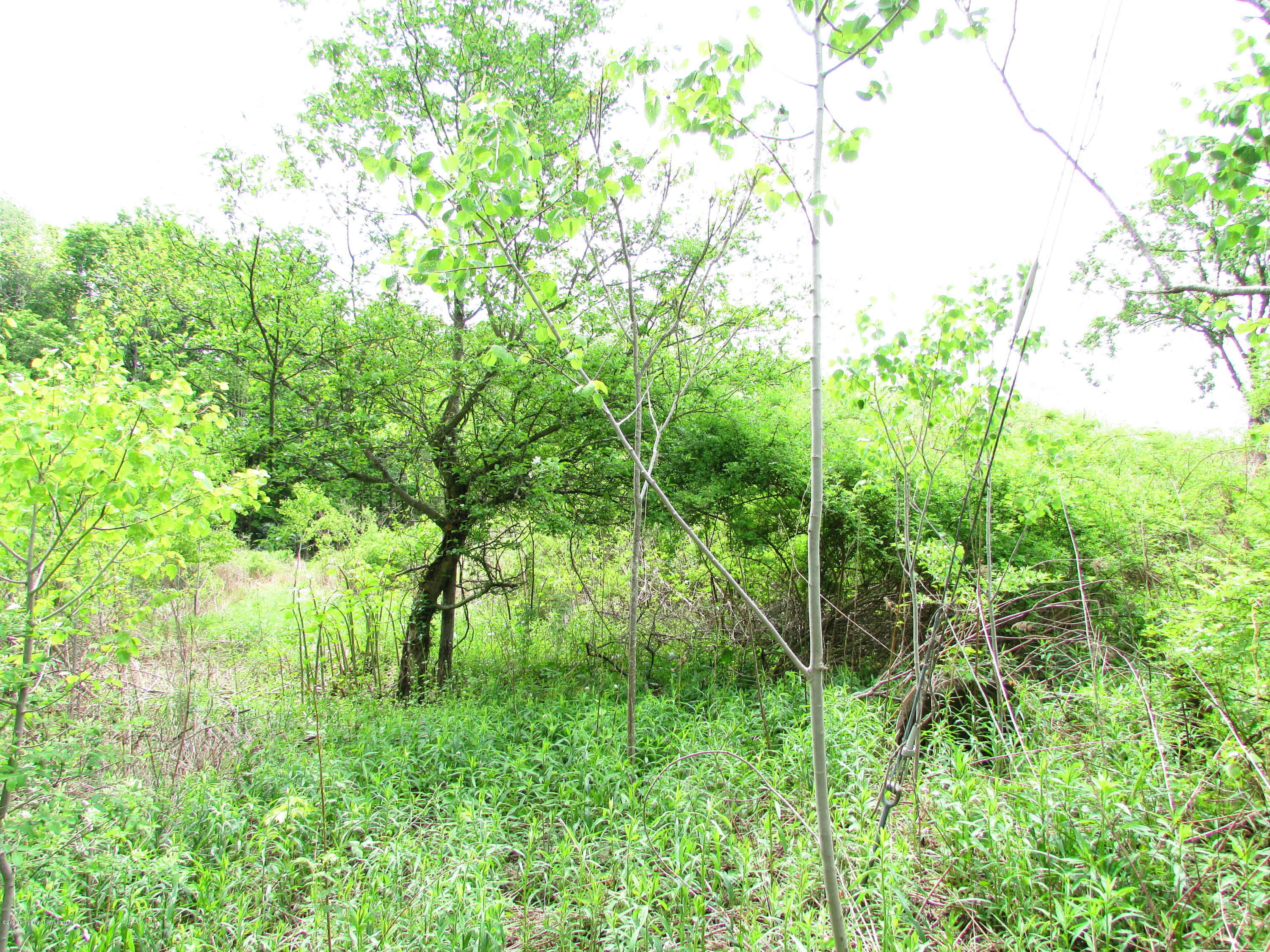 178 Poor Farm Road Carbondale, PA 18407 - Photo 3 of 13 IMG_7005