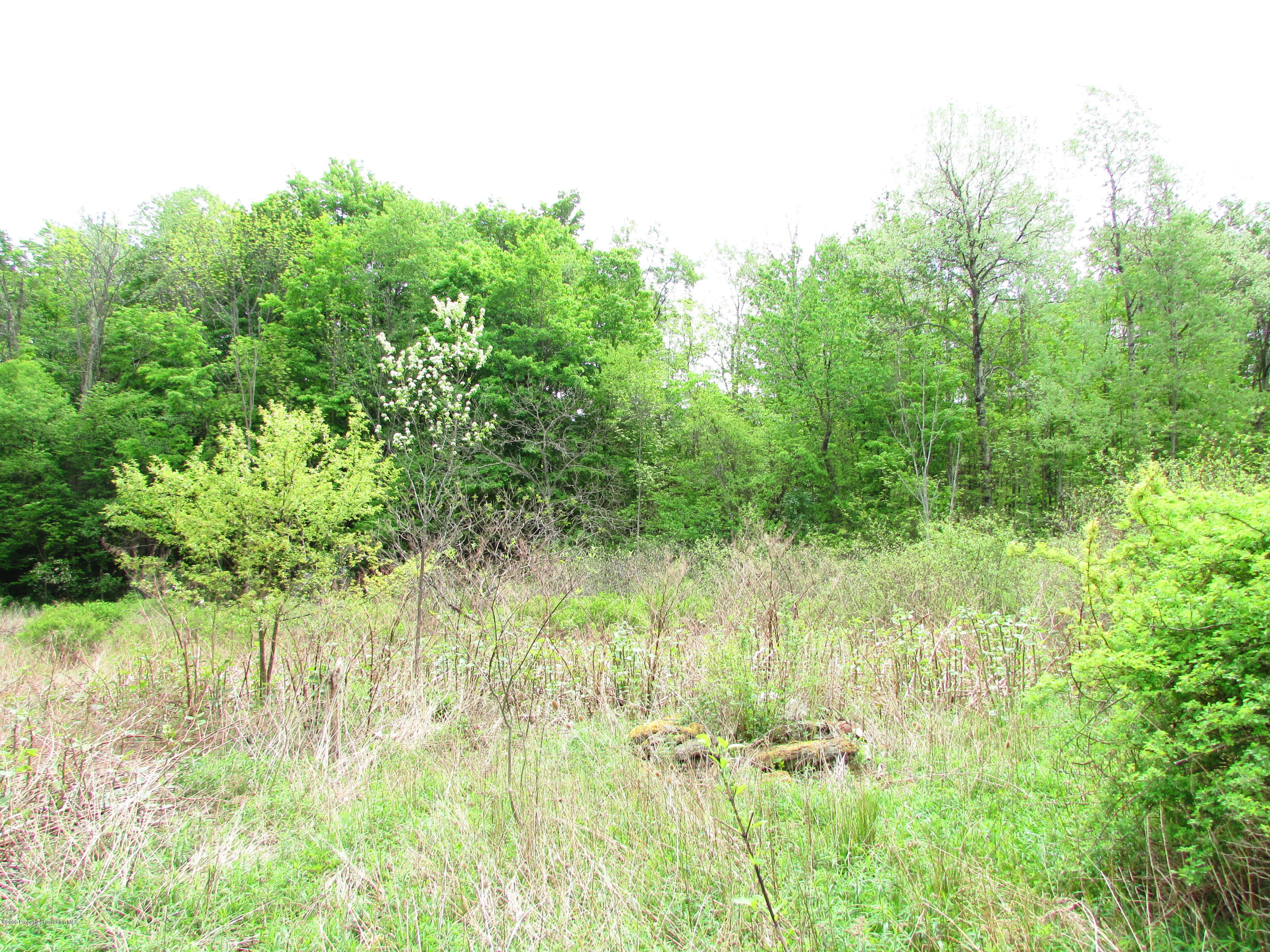 178 Poor Farm Road Carbondale, PA 18407 - Photo 8 of 13 IMG_7020