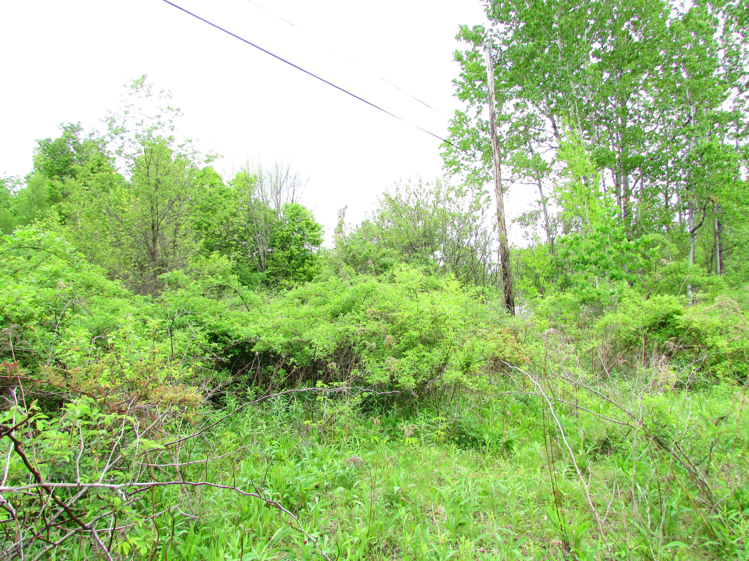 178 Poor Farm Road Carbondale, PA 18407 - Photo 10 of 13 IMG_7029
