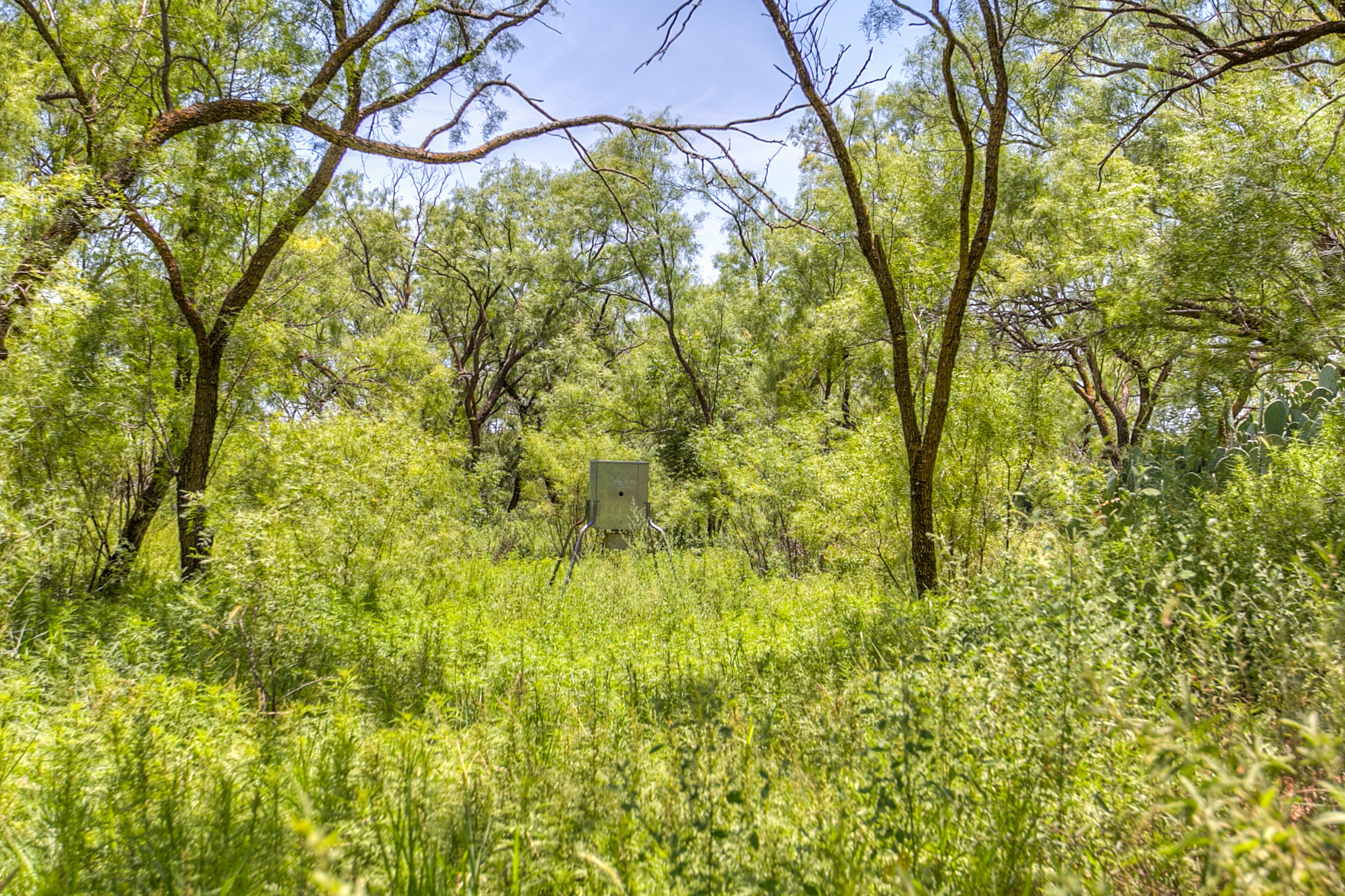 281 2884 Ballinger, TX 76821 - Photo 44 of 48 6L4A7858_59_60_61_62