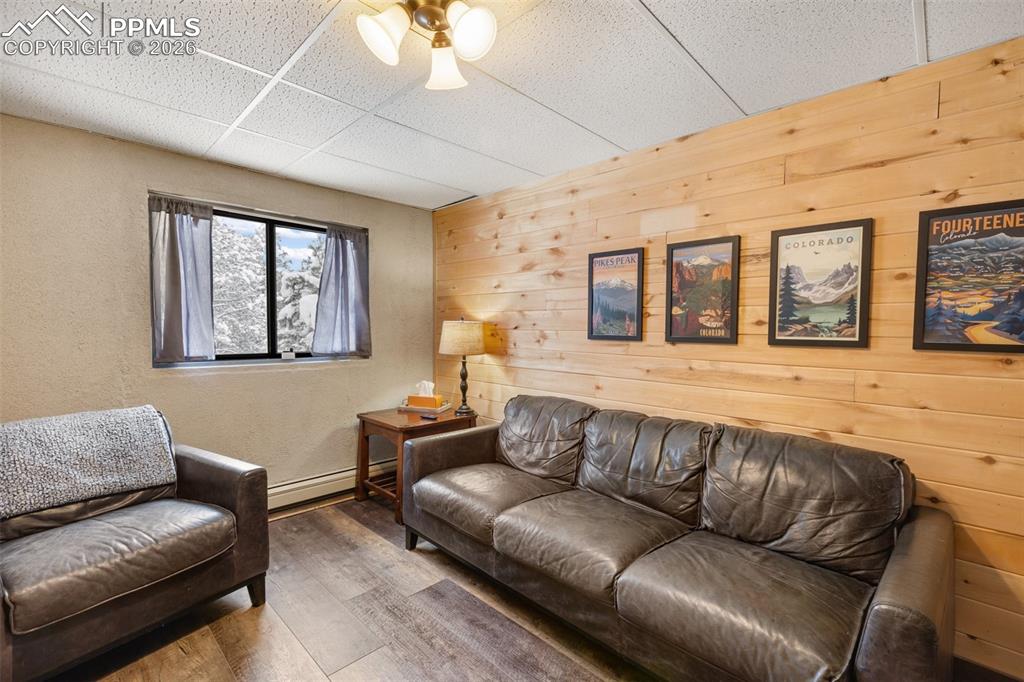 170 Ridge Road Divide, CO 80814 - Photo 26 of 50 a living room with furniture and a large window