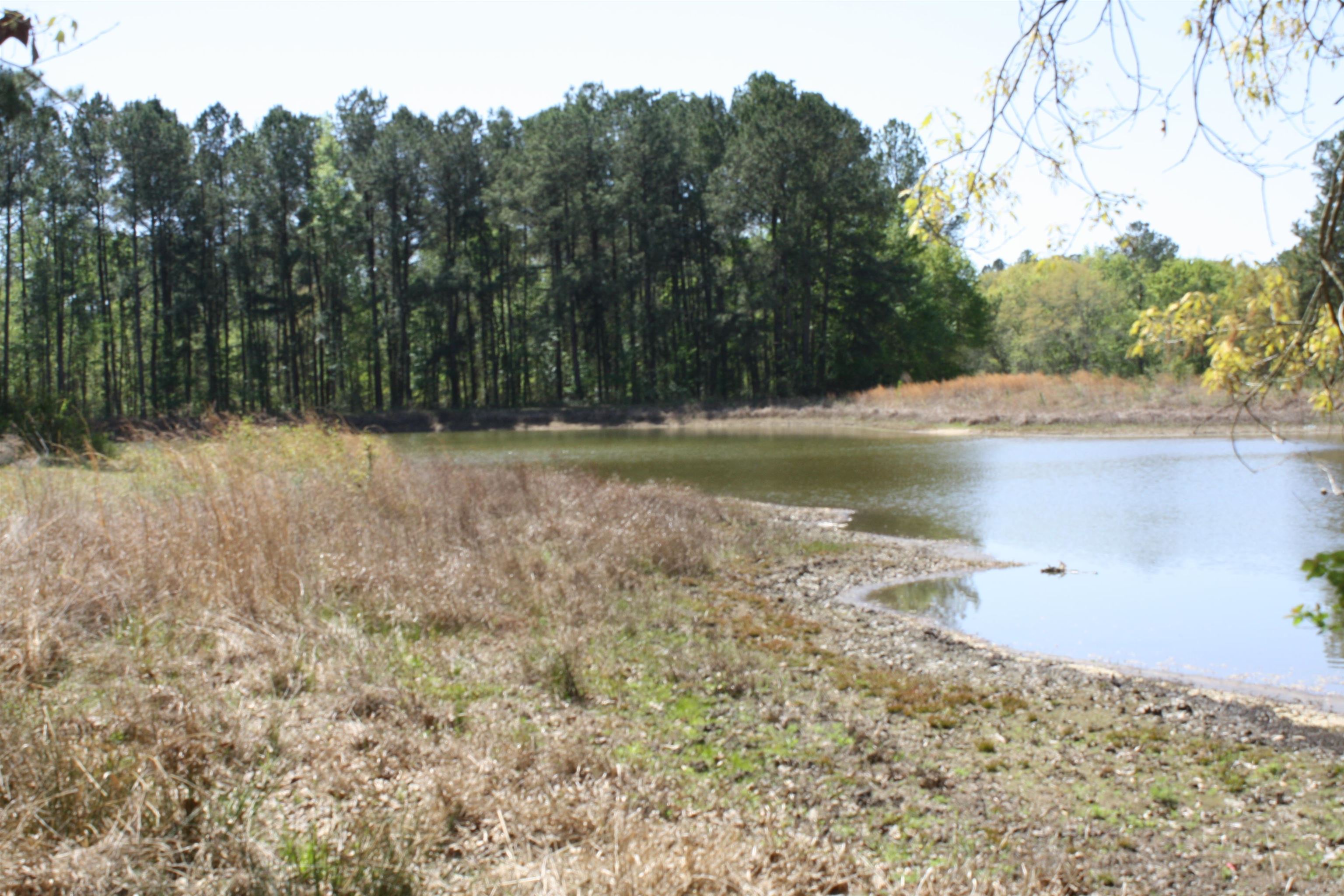 14173 State Rte 188 Coolidge, GA 31738 - Photo 12 of 47