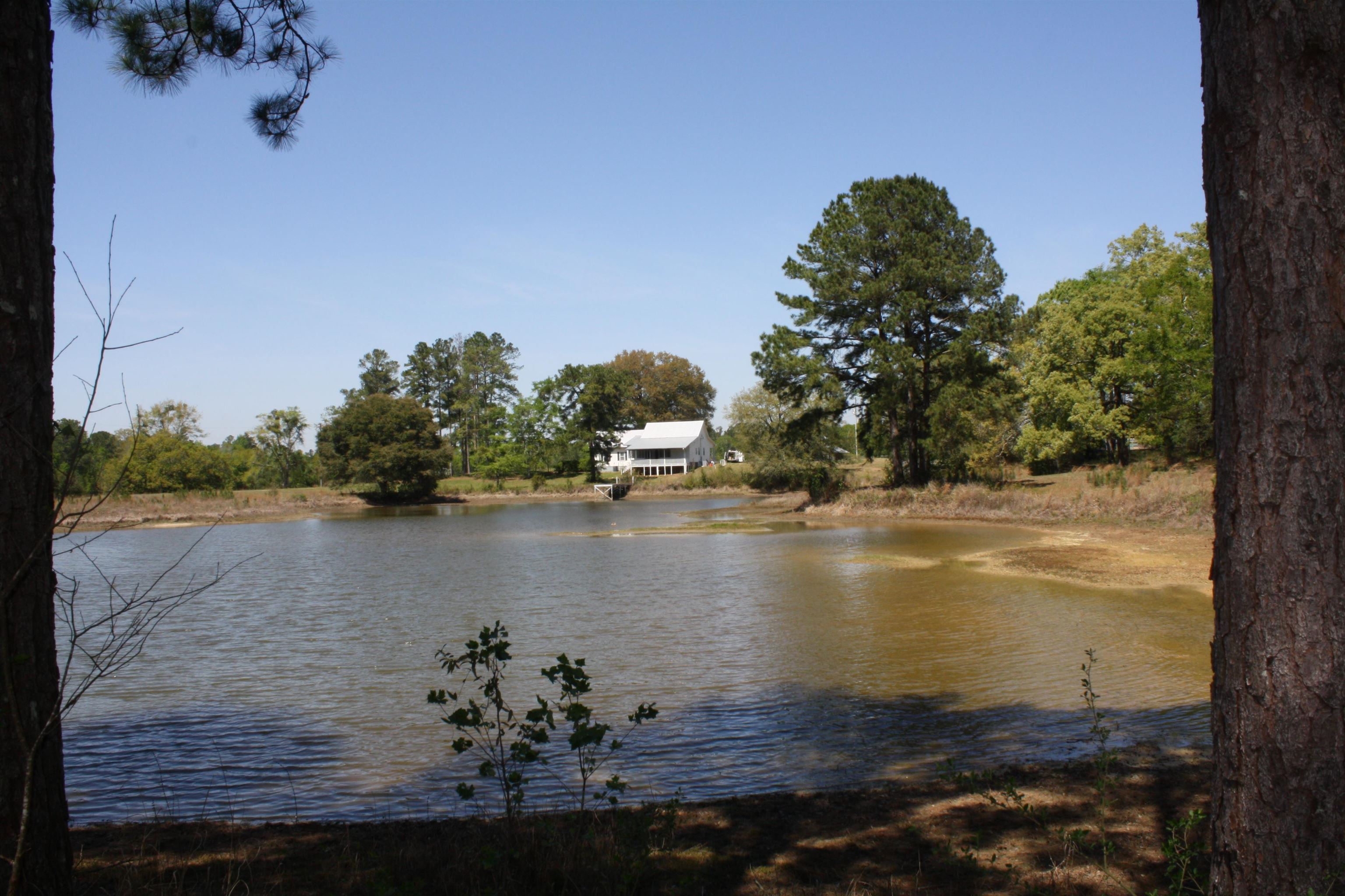 14173 State Rte 188 Coolidge, GA 31738 - Photo 16 of 47