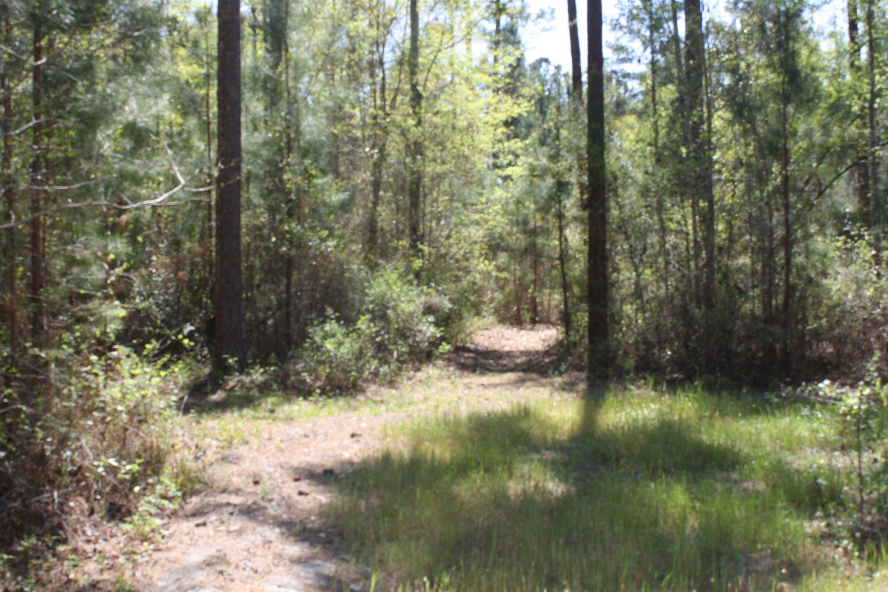 14173 State Rte 188 Coolidge, GA 31738 - Photo 3 of 47