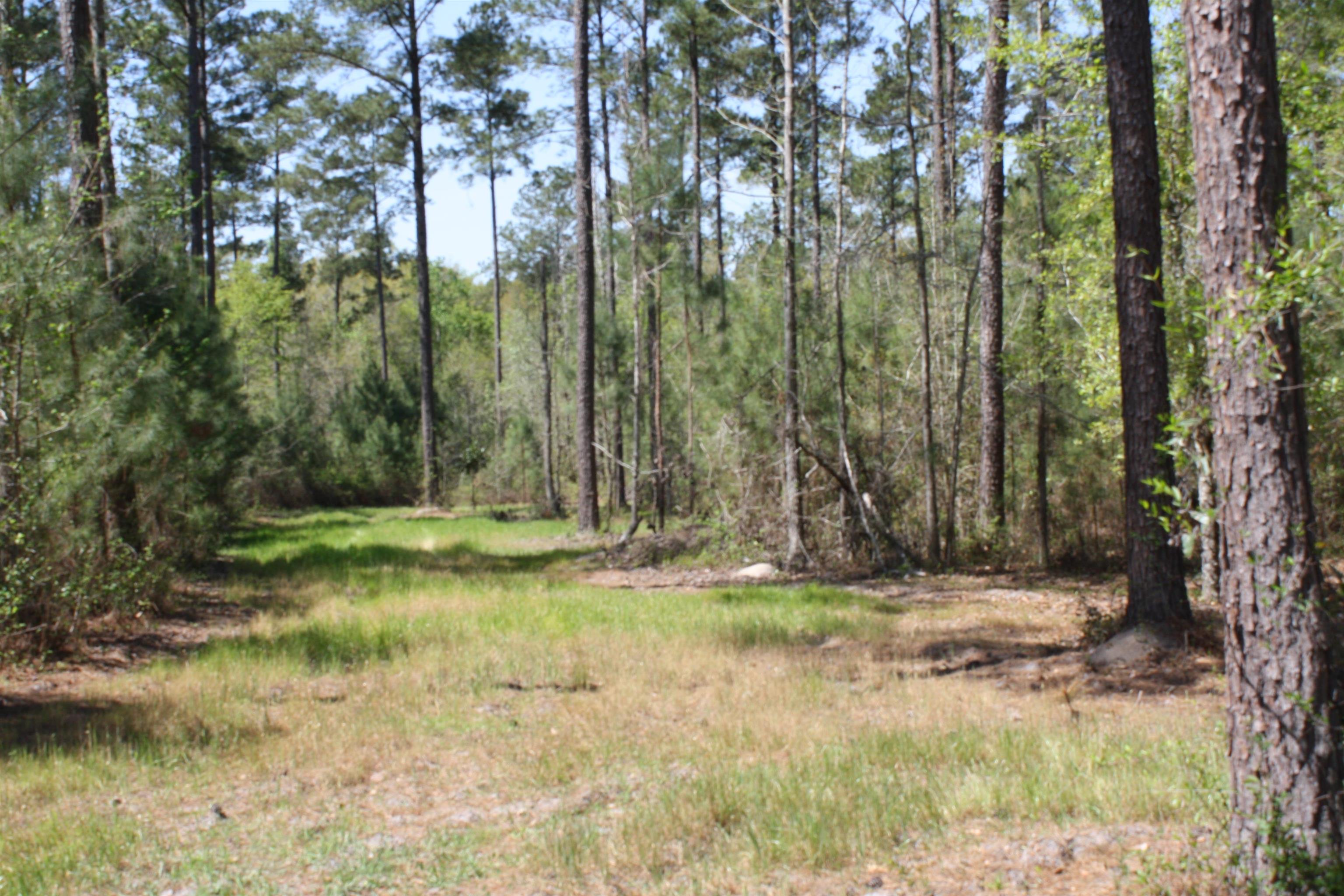 14173 State Rte 188 Coolidge, GA 31738 - Photo 5 of 47
