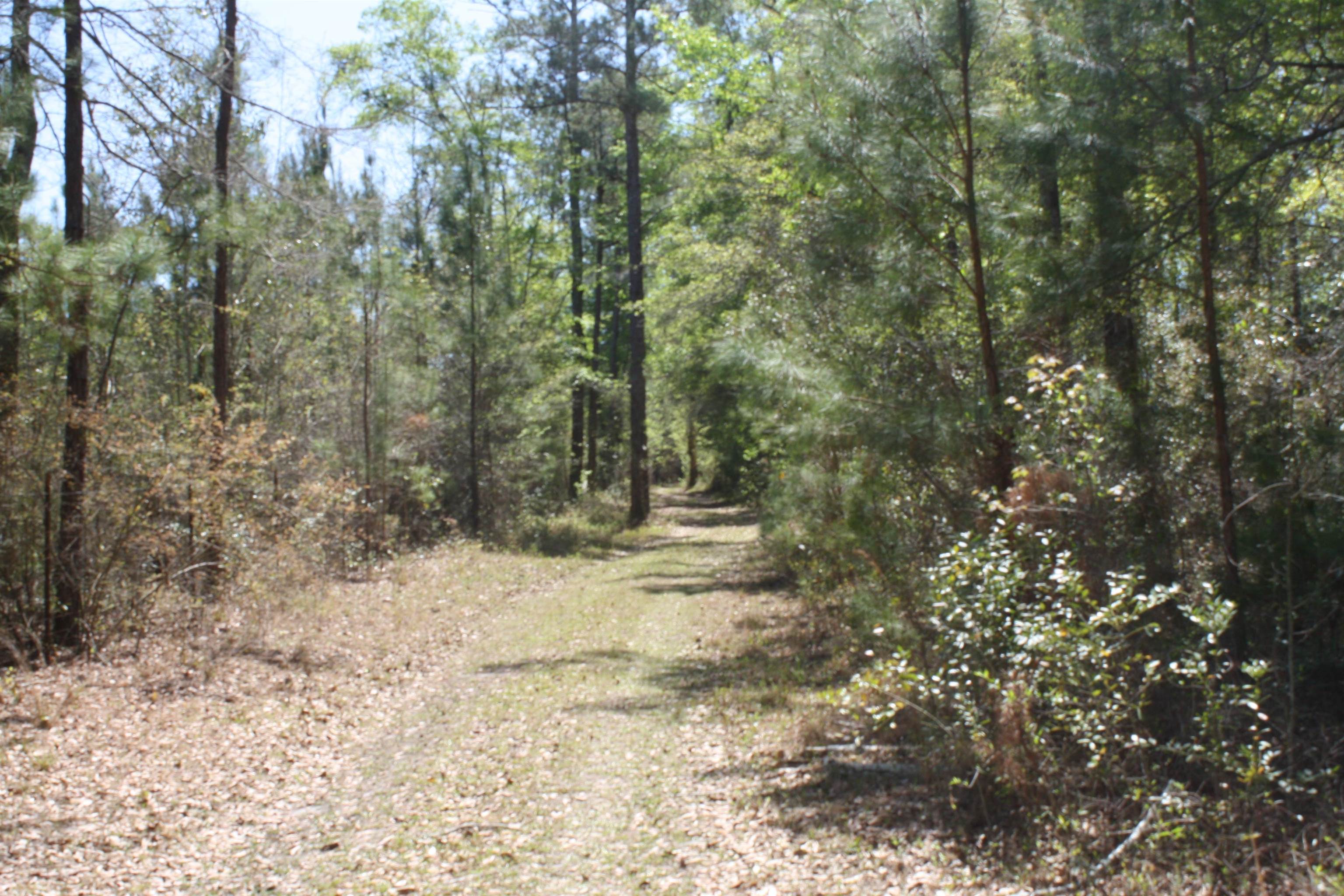 14173 State Rte 188 Coolidge, GA 31738 - Photo 8 of 47