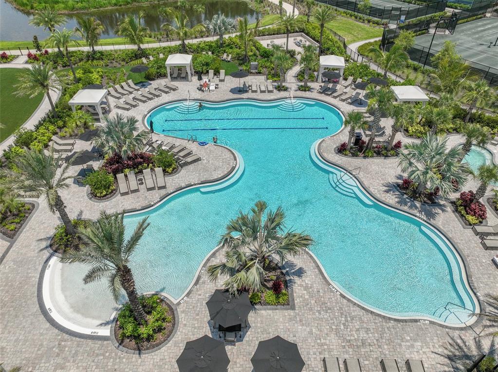29596 Toricelli Road Wesley Chapel, FL 33543 - Photo 75 of 98 Gallery Image 75