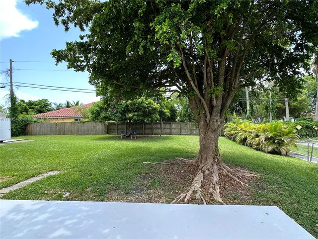 a view of a garden with plants and a large tree