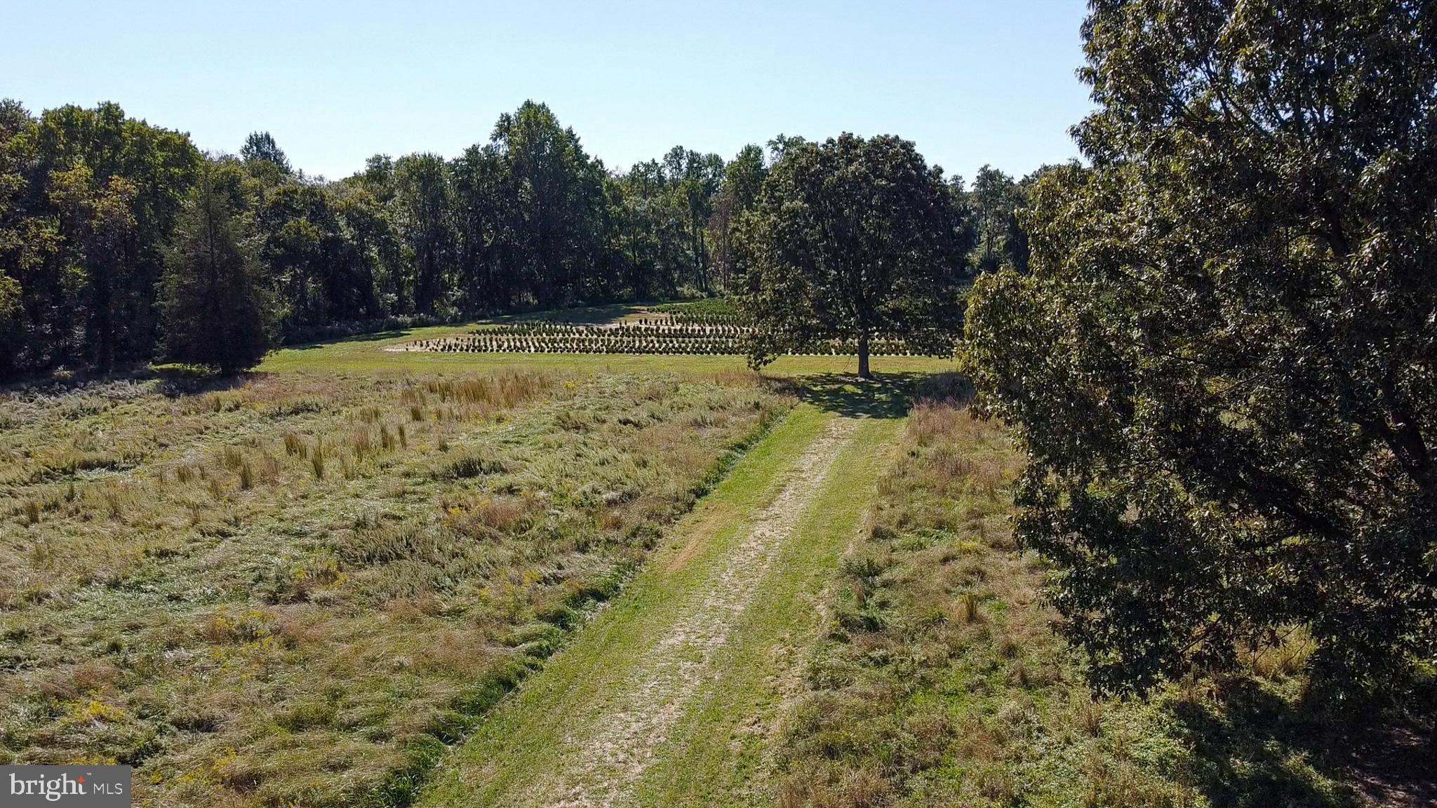 238 Center Road Bridgeton, NJ 08302 - Photo 12 of 21