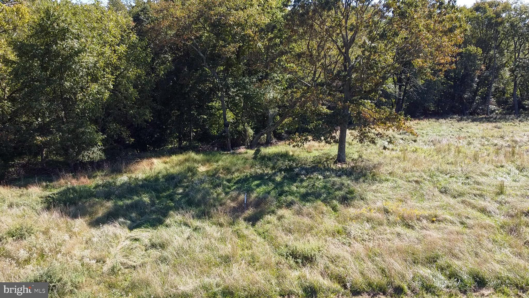 238 Center Road Bridgeton, NJ 08302 - Photo 13 of 21