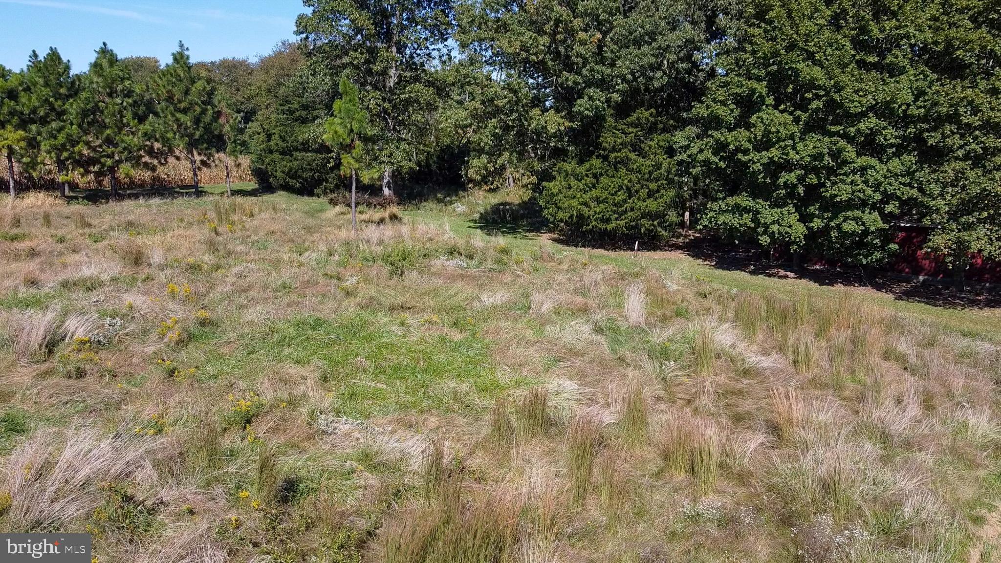 238 Center Road Bridgeton, NJ 08302 - Photo 16 of 21