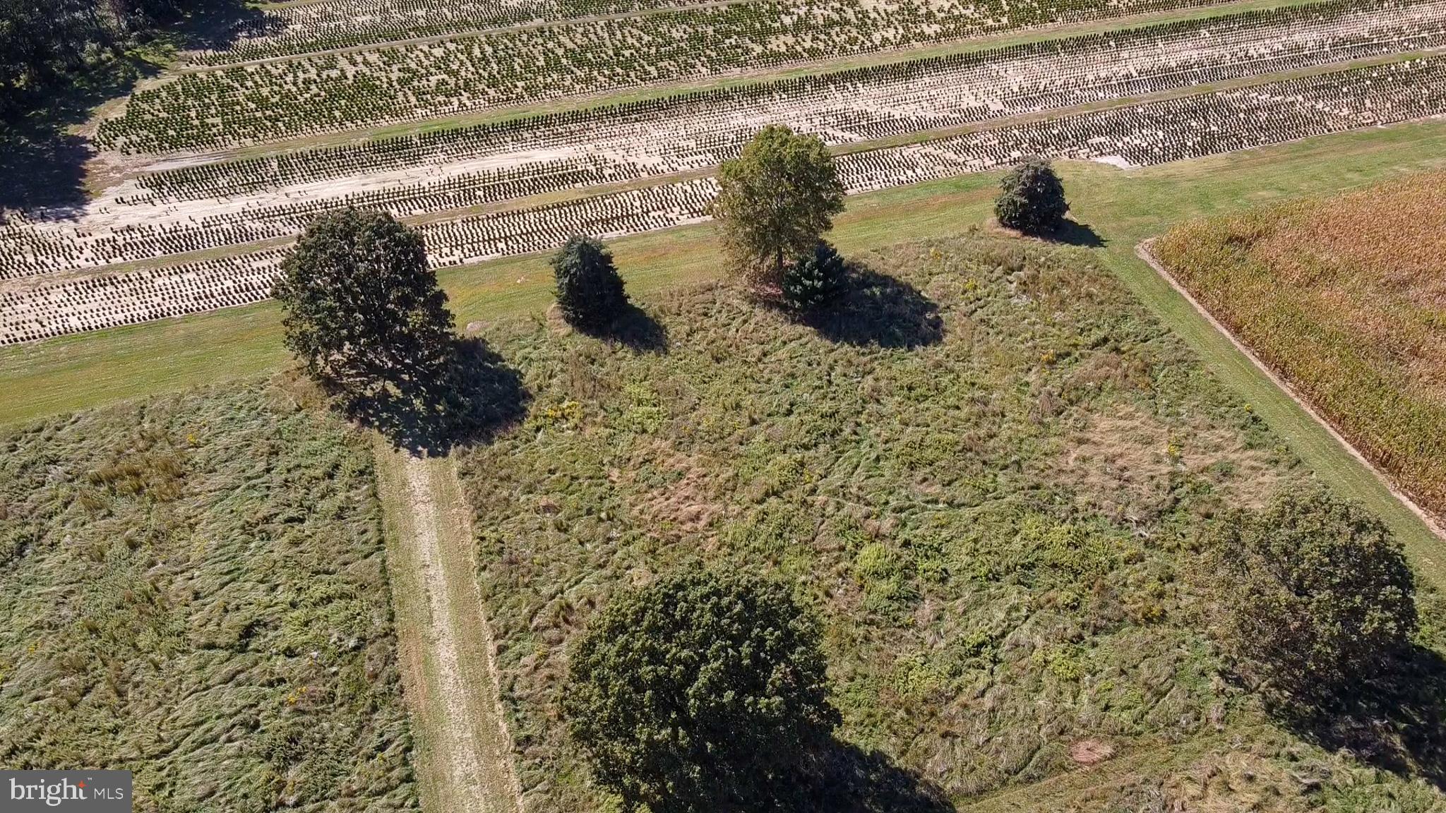 238 Center Road Bridgeton, NJ 08302 - Photo 19 of 21