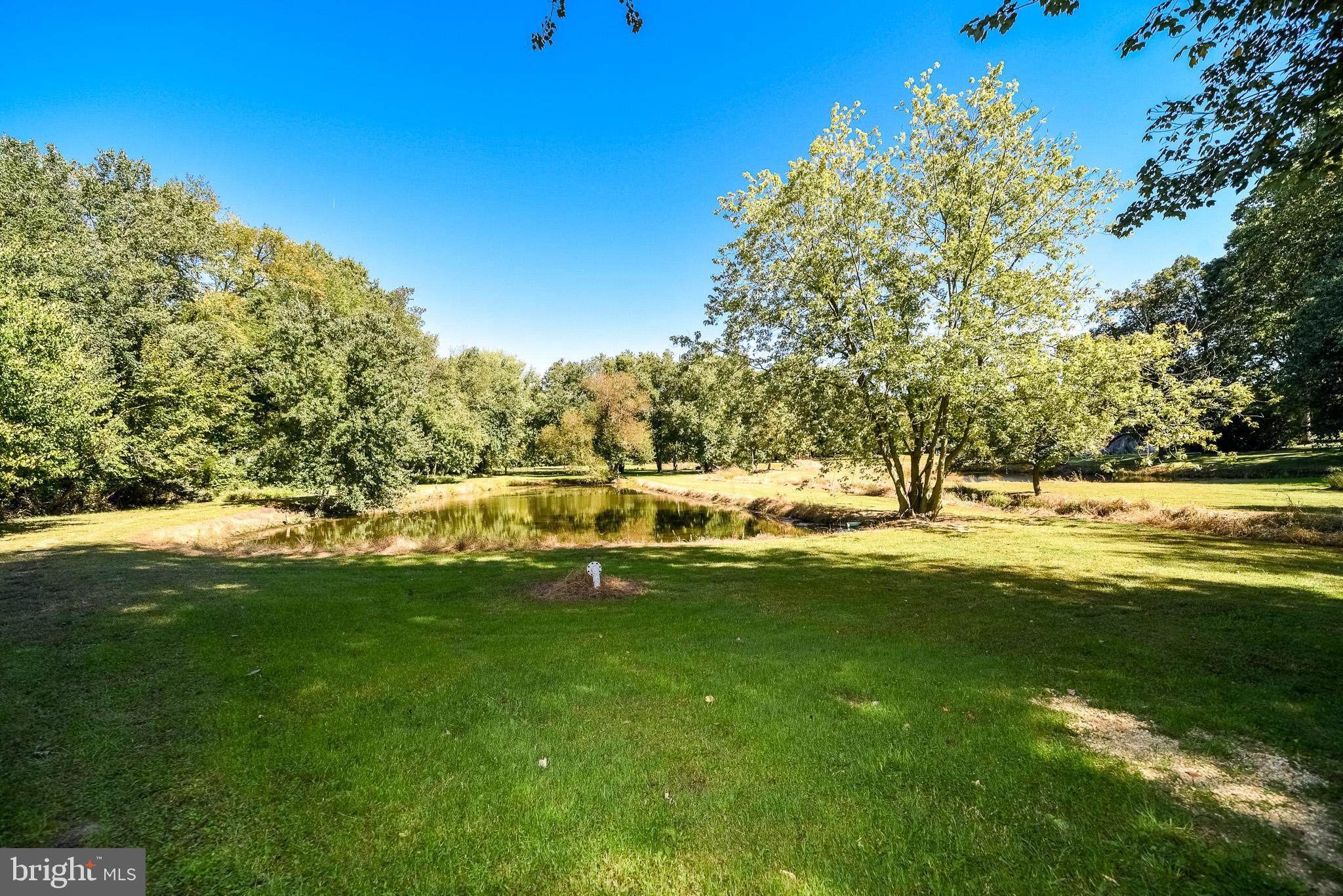 238 Center Road Bridgeton, NJ 08302 - Photo 3 of 21