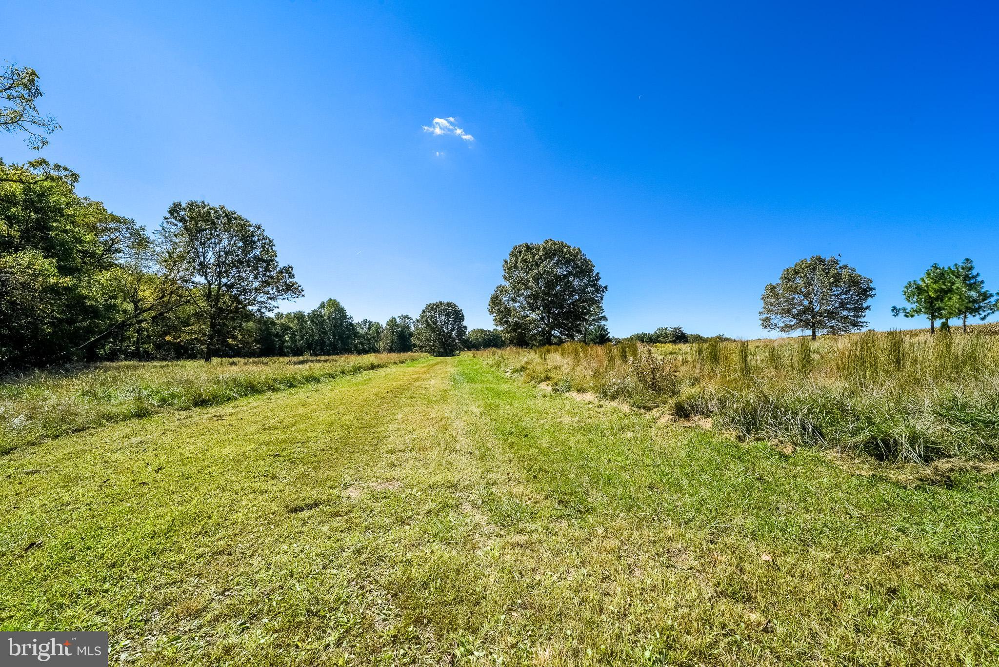 238 Center Road Bridgeton, NJ 08302 - Photo 6 of 21