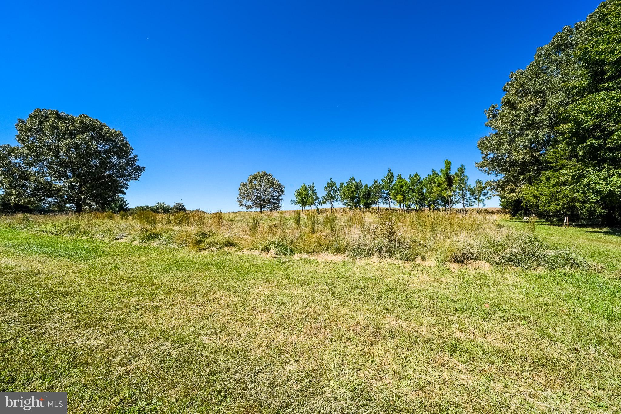 238 Center Road Bridgeton, NJ 08302 - Photo 7 of 21