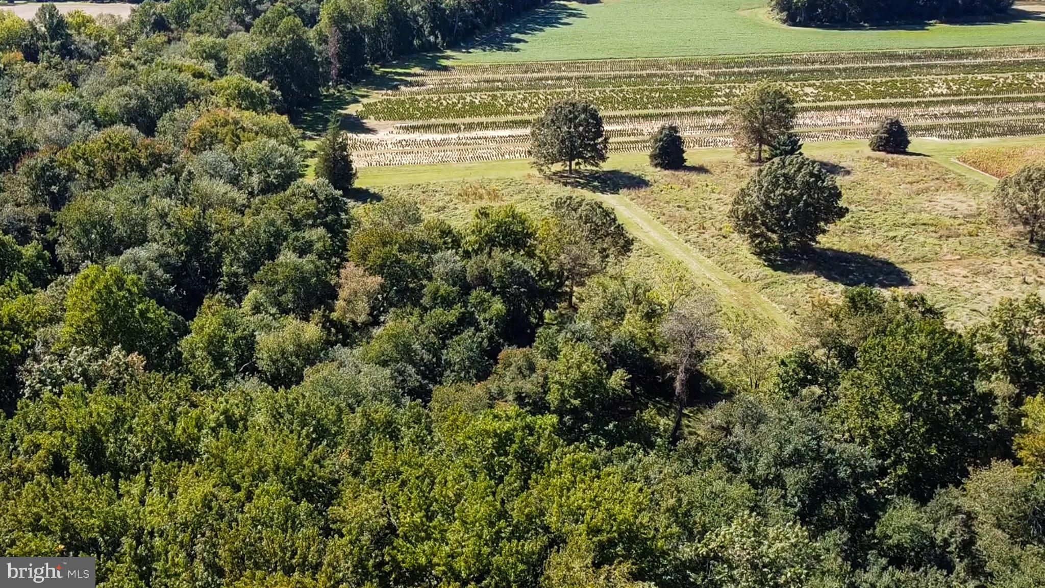 238 Center Road Bridgeton, NJ 08302 - Photo 9 of 21
