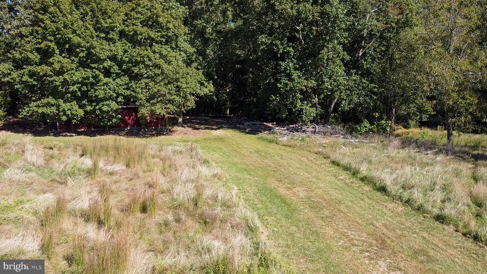 238 Center Road Bridgeton, NJ 08302 - Photo 10 of 21