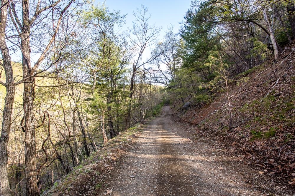 0 German River Road Fulks Run, VA 22830 - Photo 12 of 47 Gallery Image 12