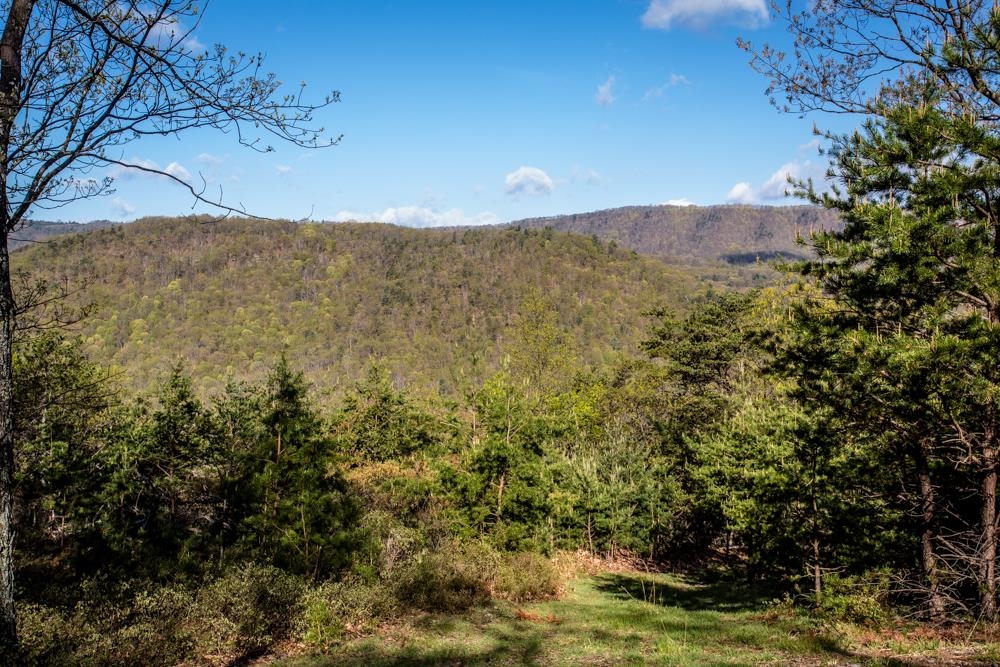 0 German River Road Fulks Run, VA 22830 - Photo 6 of 47 Gallery Image 6