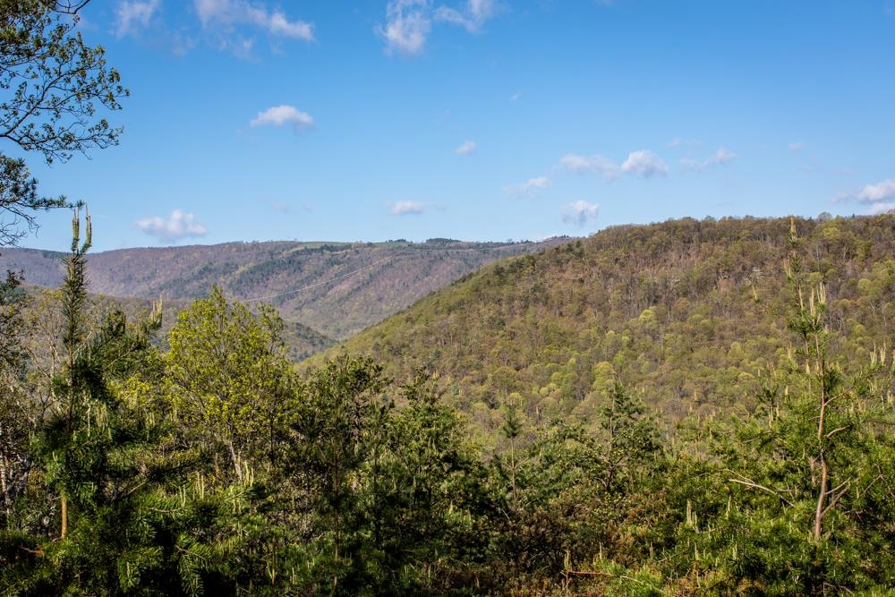0 German River Road Fulks Run, VA 22830 - Photo 7 of 47 Gallery Image 7