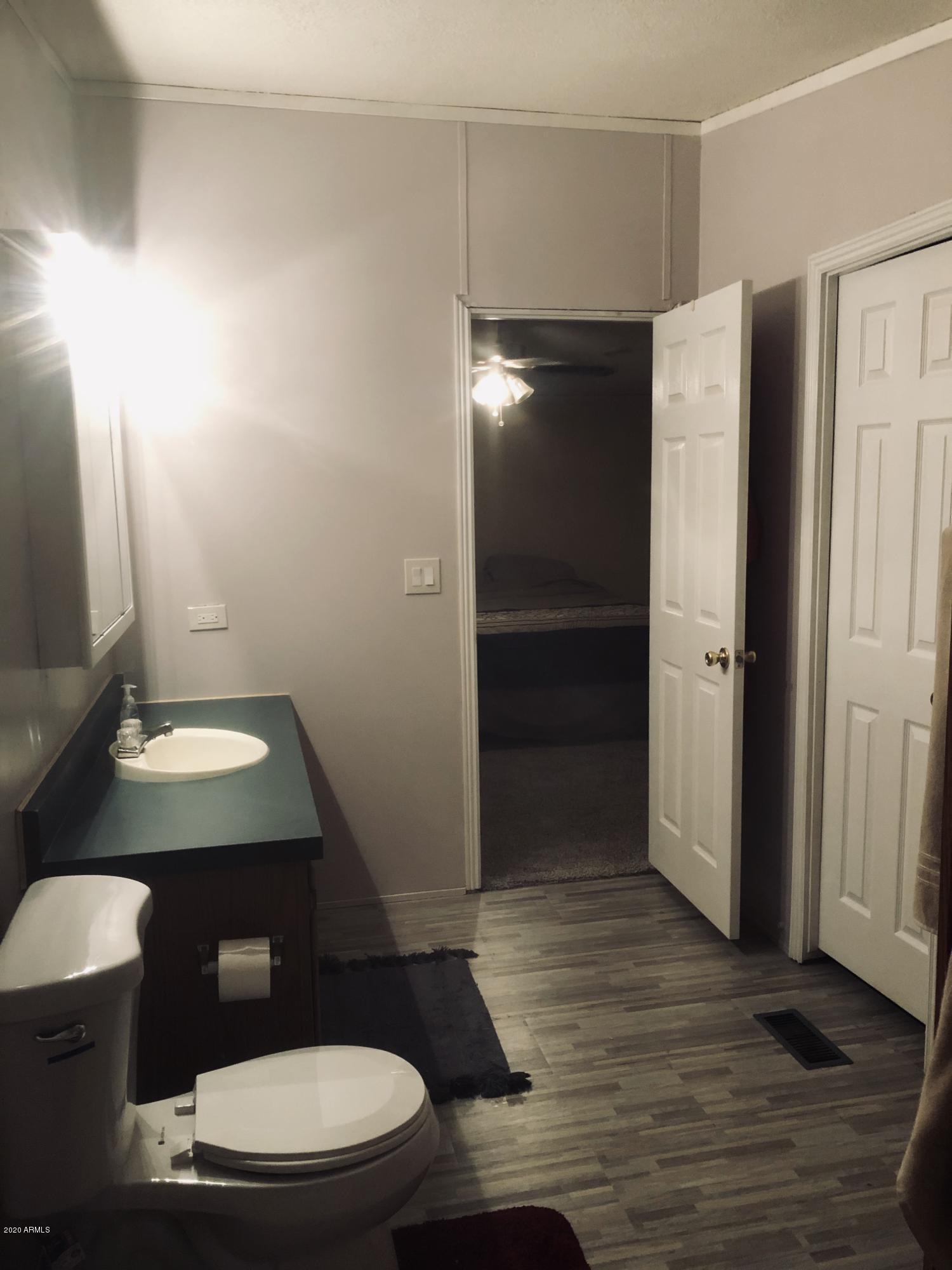 208 North Wickiup Road Apache Junction, AZ 85119 - Photo 14 of 34 Master Bath