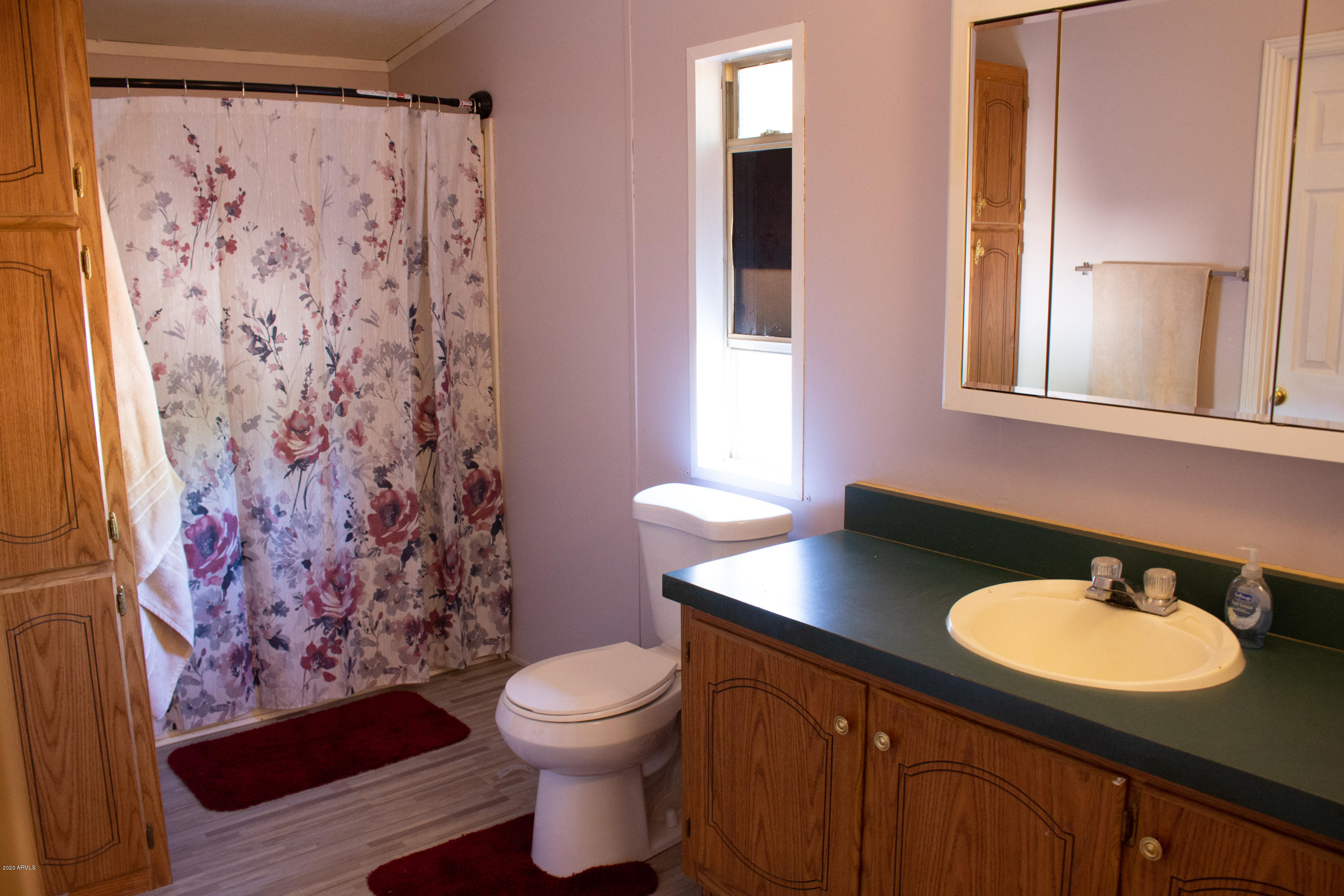208 North Wickiup Road Apache Junction, AZ 85119 - Photo 15 of 34 Master Bathroom