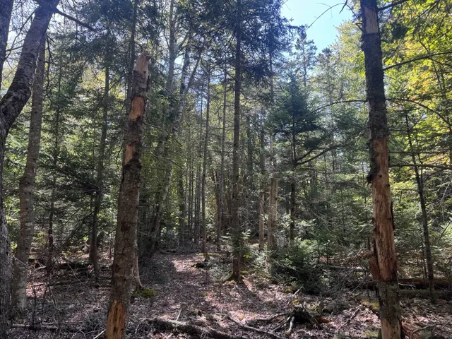 $65,000 | 1730 Main Street, Harrington, ME 04643