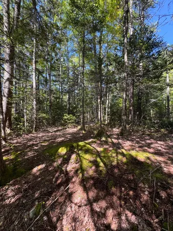 $65,000 | 1730 Main Street, Harrington, ME 04643