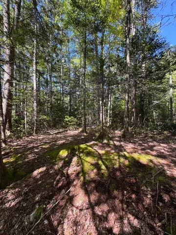 $65,000 | 1730 Main Street, Harrington, ME 04643