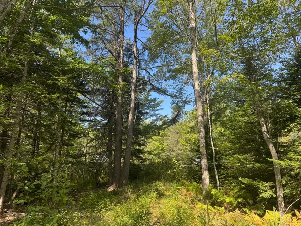 $65,000 | 1730 Main Street, Harrington, ME 04643