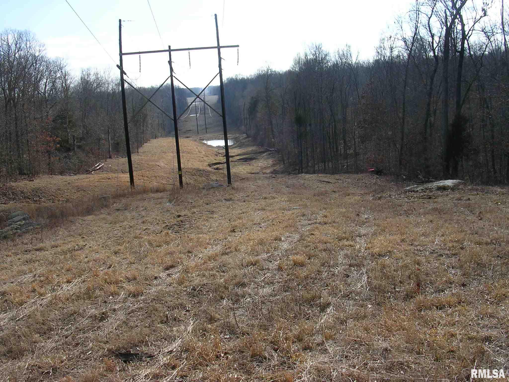 Pleasant Ridge Road Vienna, IL 62995 - Photo 11 of 27