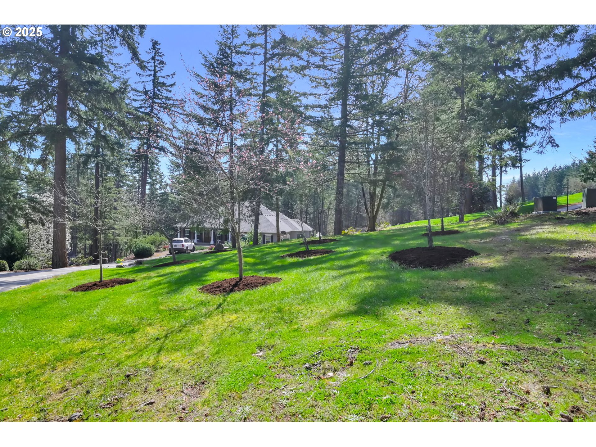 27911 Lady Slipper Loop Eugene, OR 97405 - Photo 39 of 48