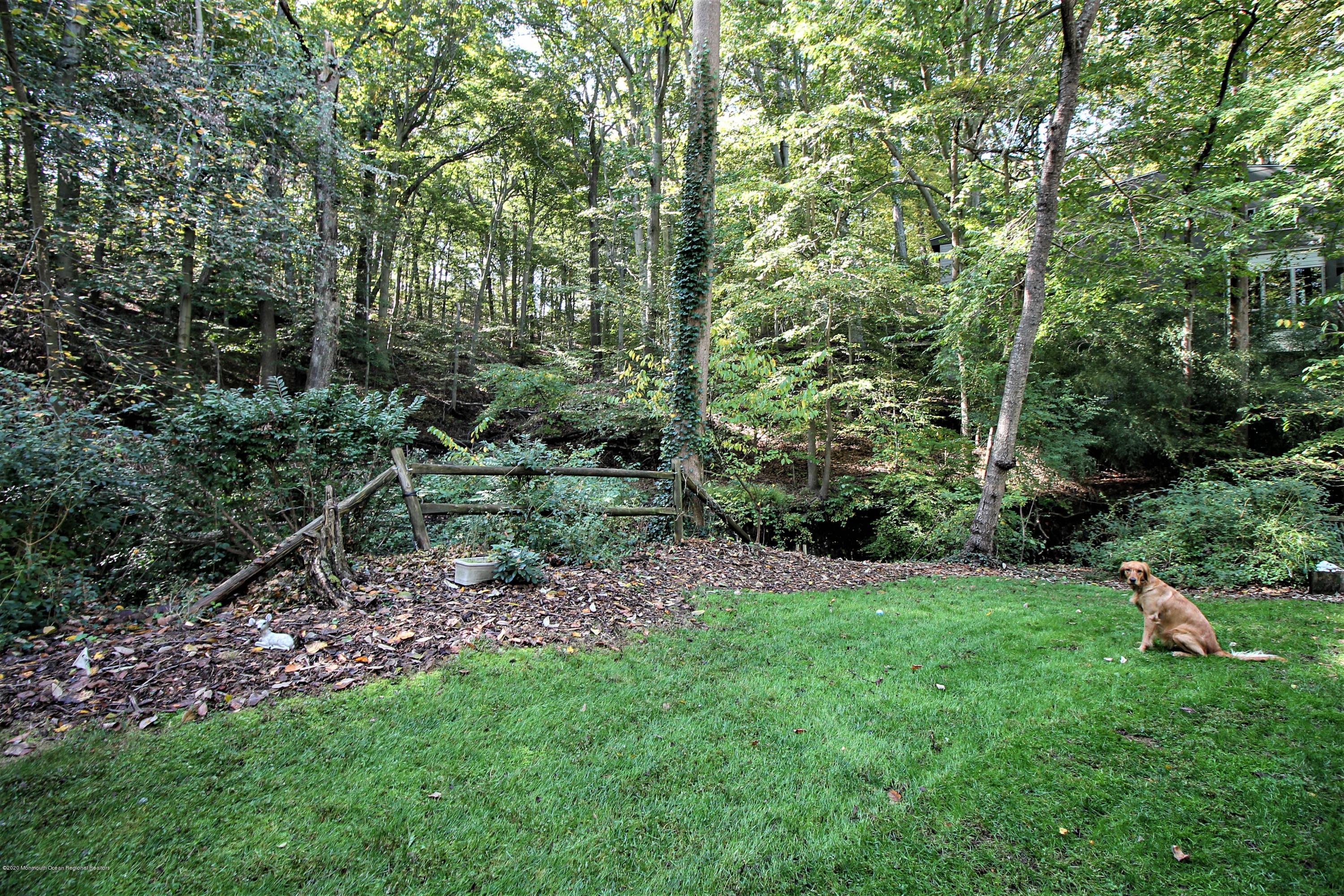 24 Borden Road Middletown, NJ 07748 - Photo 40 of 60 Back Yard 4