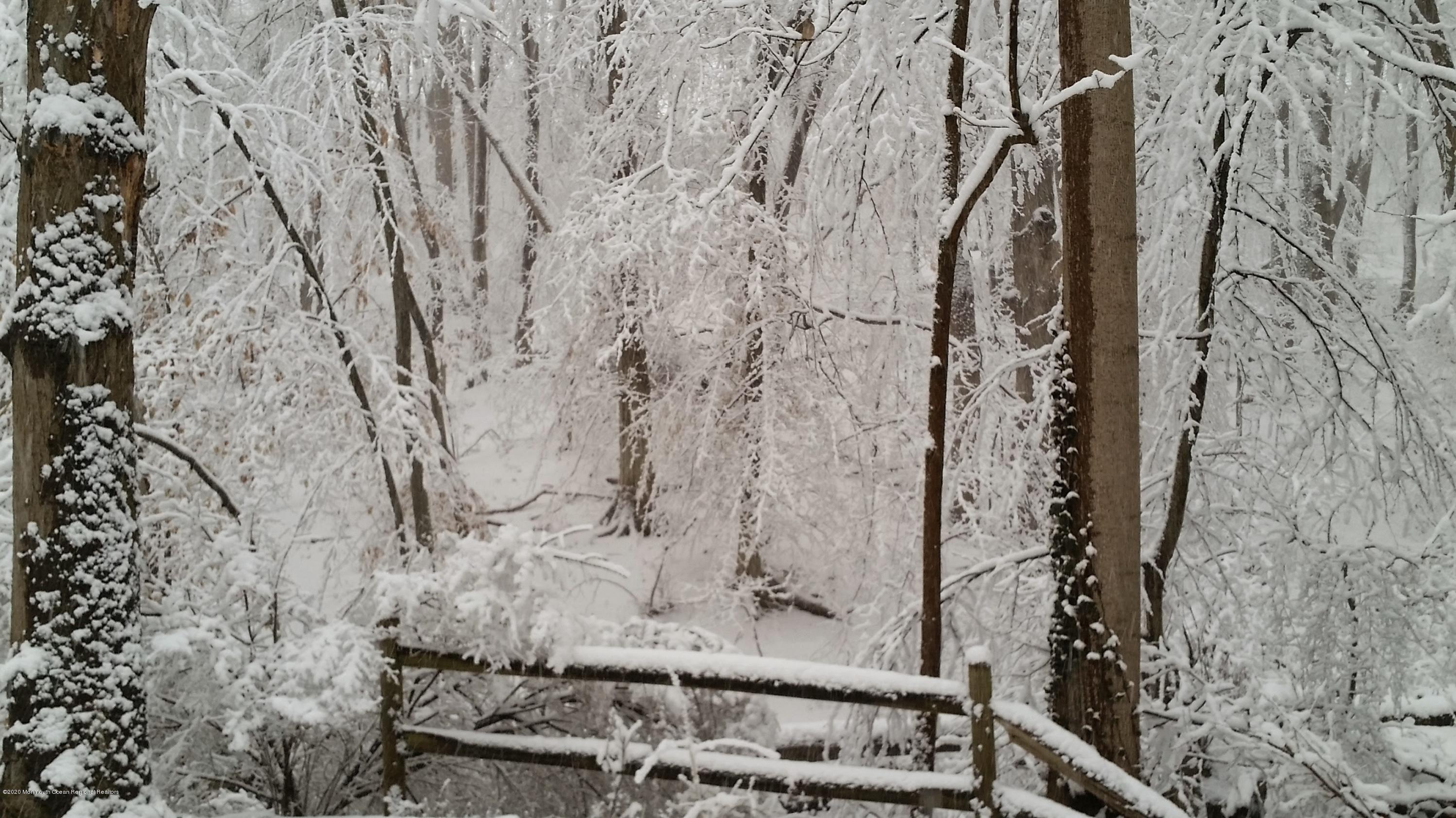 24 Borden Road Middletown, NJ 07748 - Photo 44 of 60 Winter Serenity