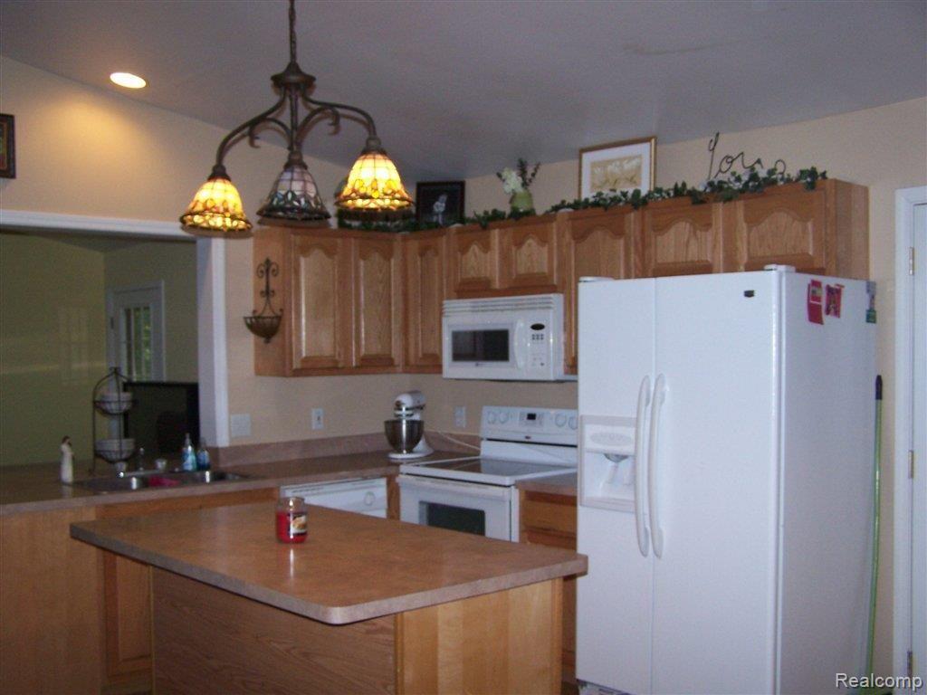 9584 North Fleming Road Fowlerville, MI 48836 - Photo 5 of 16 183.JPG