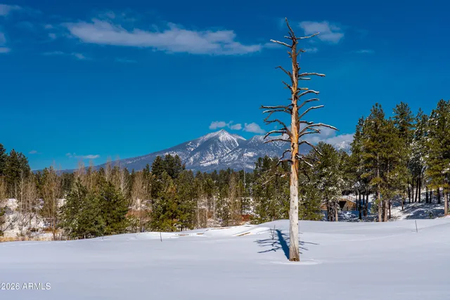 $1,825,000 | 1713 East Solitude Court, Flagstaff, AZ 86005