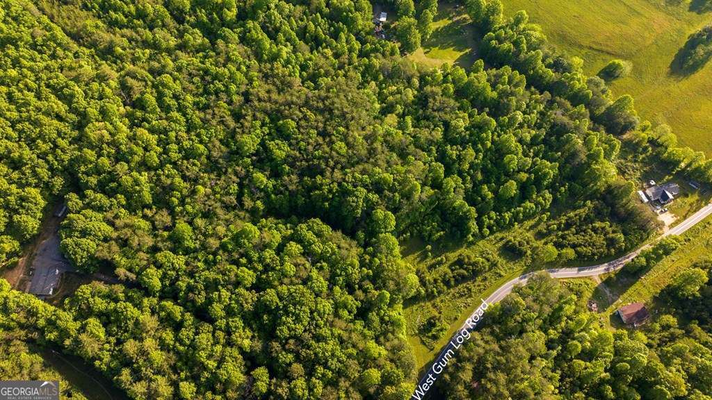 1 West Gum Log Road Warne, NC 28909 - Photo 10 of 26