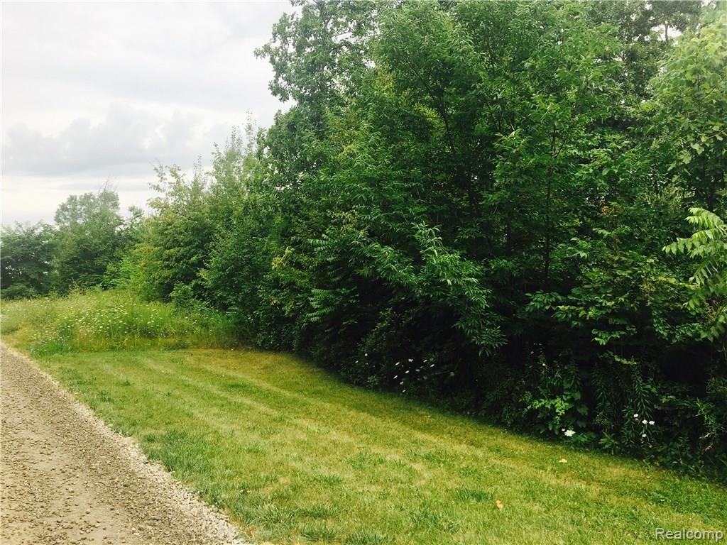 0 Warner Road Howell, MI 48855 - Photo 3 of 5