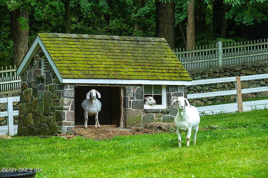 591 Riversville Road Greenwich, CT 06831 - Photo 71 of 79 Goat House