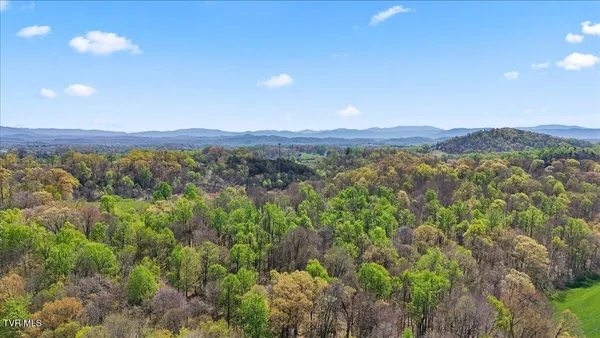 $339,900 | 238 Cedar Valley Boulevard, Gray, TN 37615