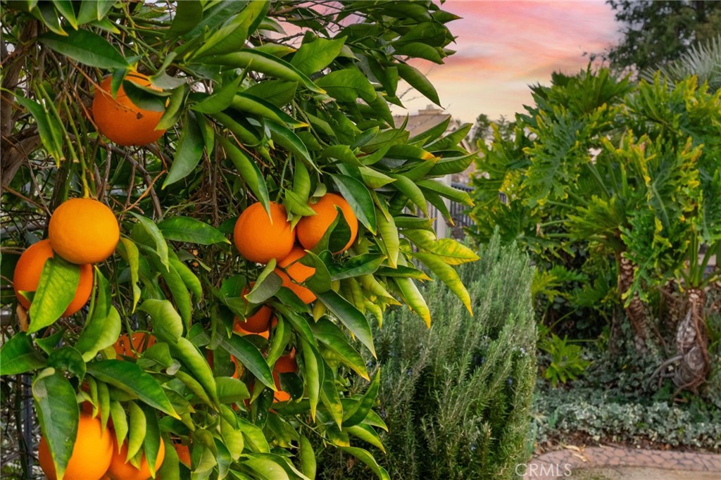 31782 Via San Carlos Temecula, CA 92592 - Photo 55 of 69 a view of a yard with table and chairs