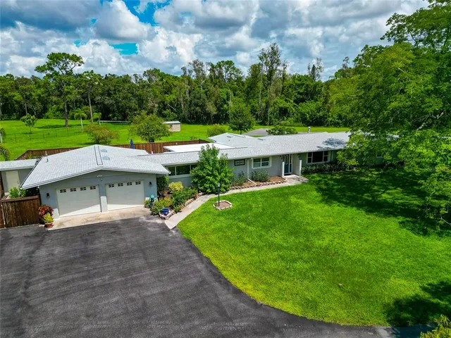 a view of a park with large trees