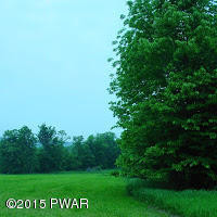 Ayoub Road Pleasant Mount, PA 18453 - Photo 3 of 8