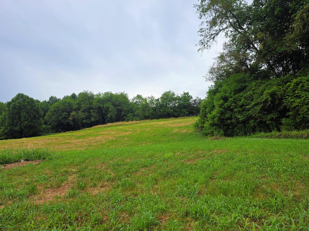 2490 New Hope Road Morganton, GA 30560 - Photo 4 of 5