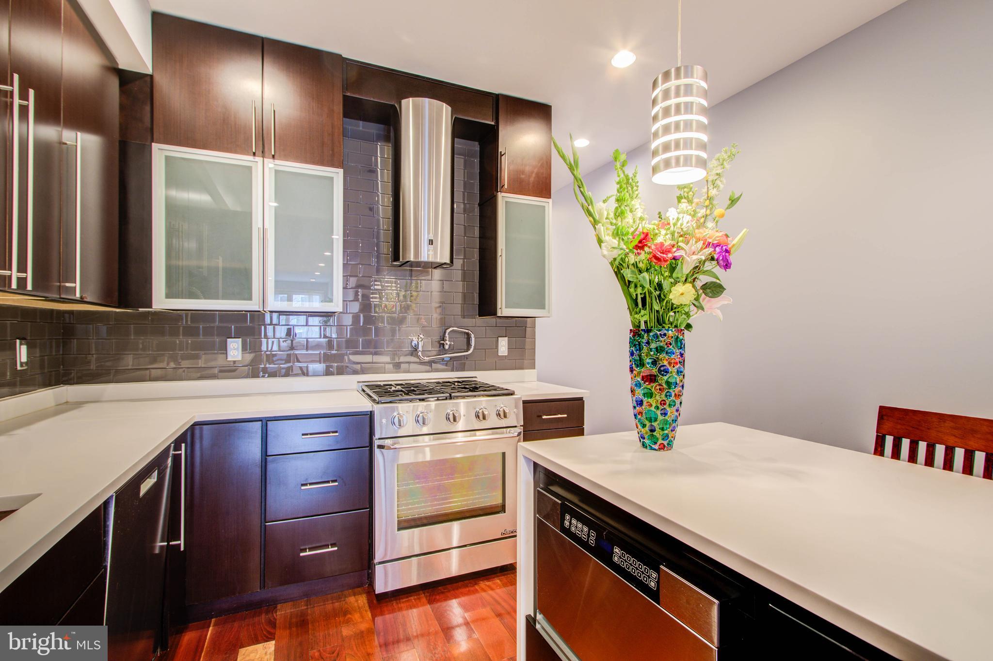 747 Morton Street Northwest, Unit 1 Washington, DC 20010 - Photo 3 of 36 Gourmet kitchen