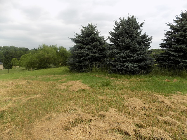 1531 North 2659th Road Ottawa, IL 61350 - Photo 3 of 7