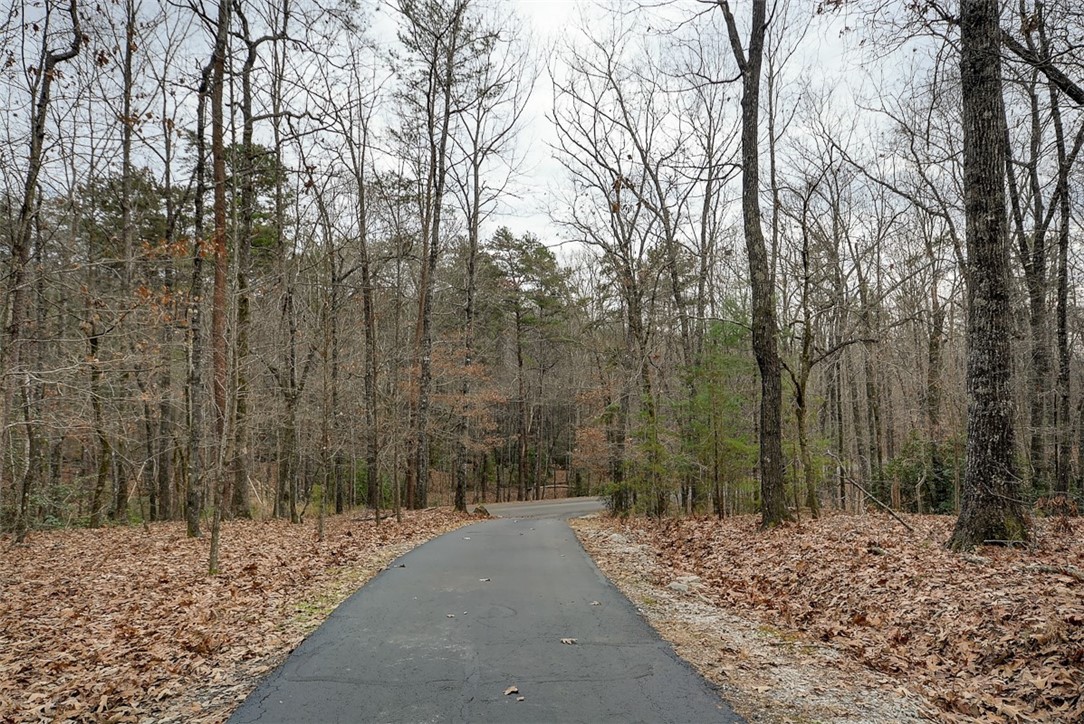 487 Ridge Springs Road Cleveland, SC 29635 - Photo 50 of 50 Gallery Image 50