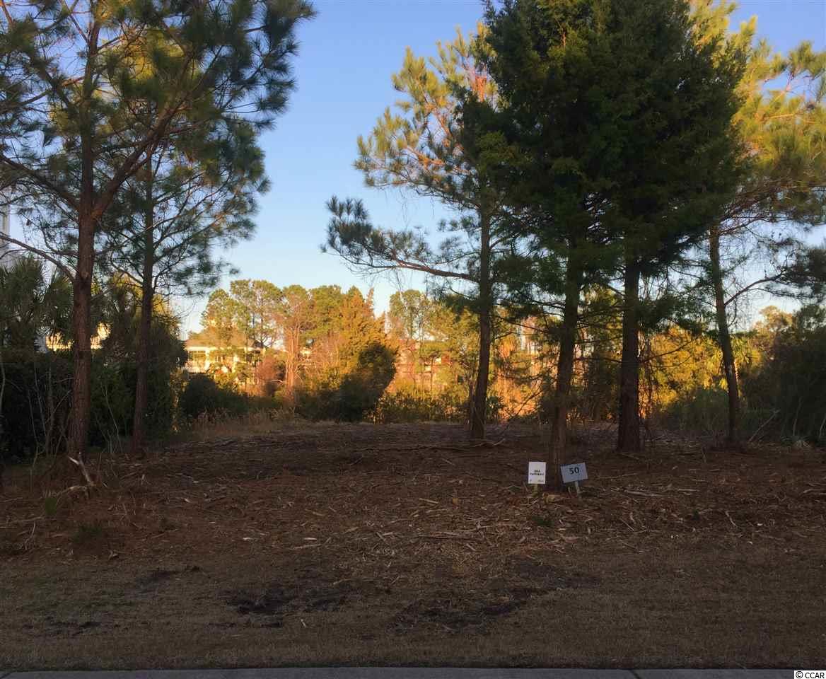 Lot 50 Whiting Lane Georgetown, SC 29440 - Photo 4 of 25 Gallery Image 4