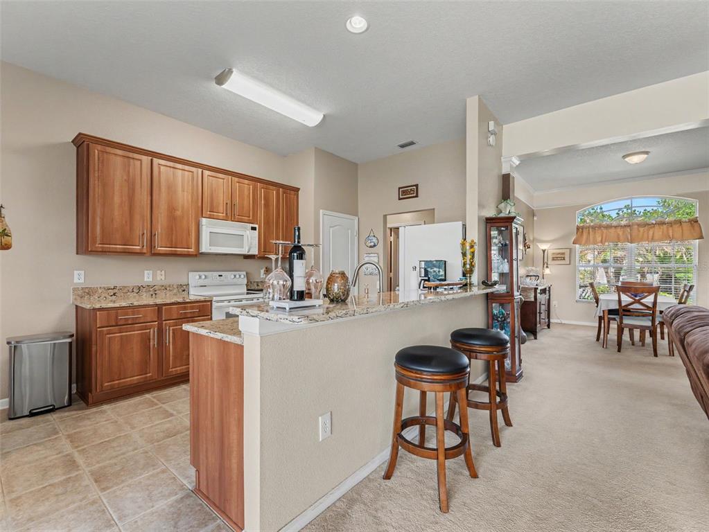 5746 Riva Ridge Drive Wesley Chapel, FL 33544 - Photo 25 of 51