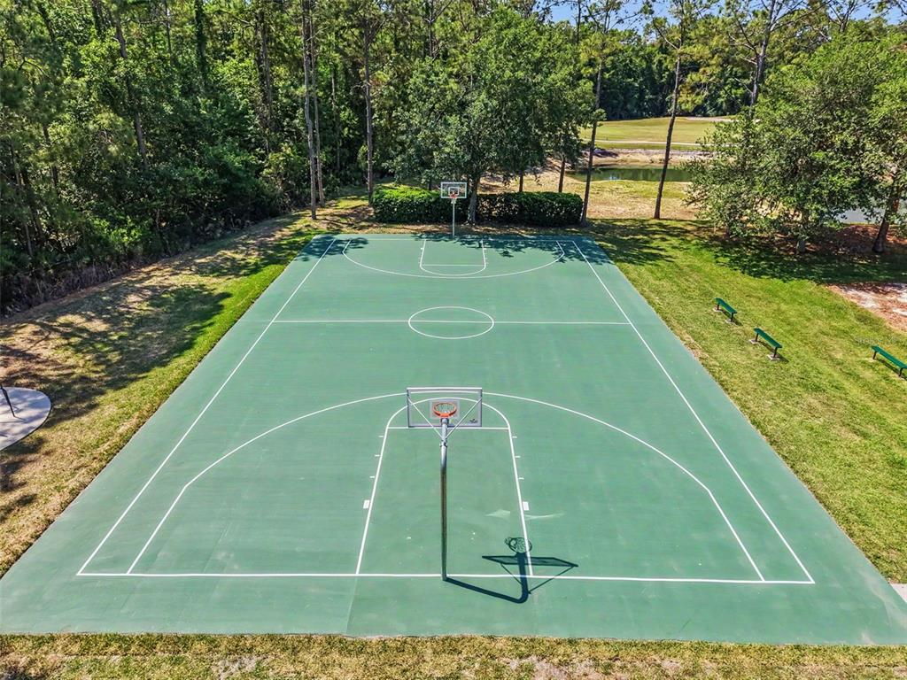 5746 Riva Ridge Drive Wesley Chapel, FL 33544 - Photo 50 of 51